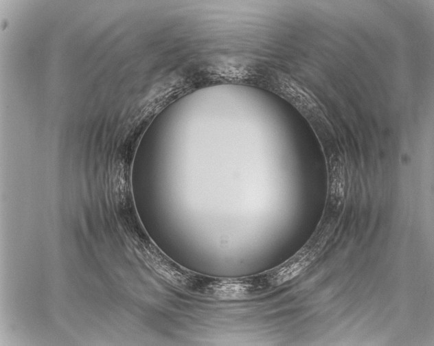 X0000059800518200510211055