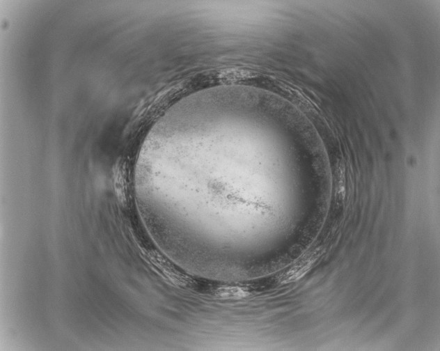 X0000059800519200510211055