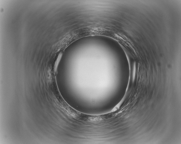 X0000059800520200510211055