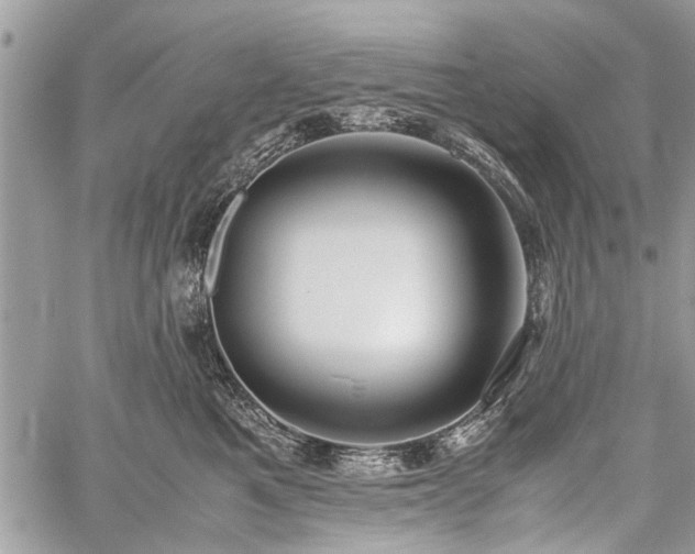 X0000059800521200510211055