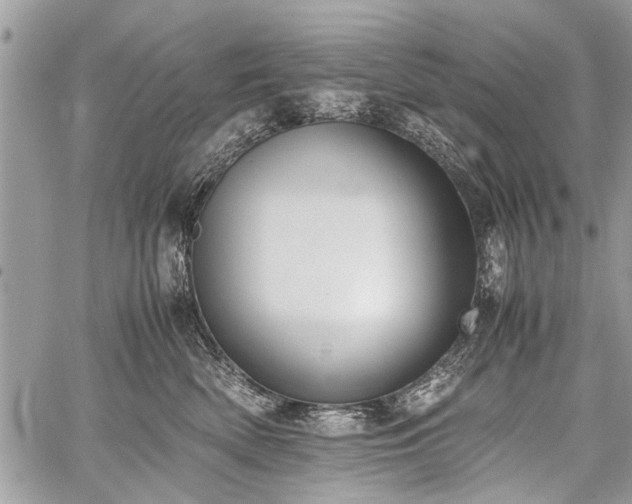 X0000059800522200510211055