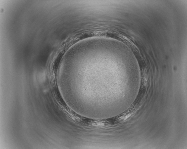 X0000059800523200510211055