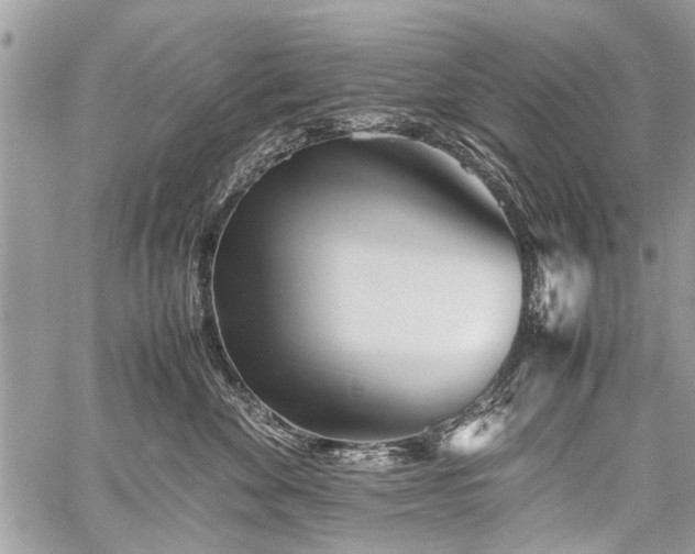 X0000059800524200510211055