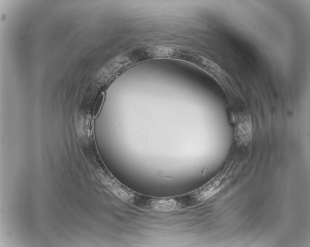 X0000059800525200510211055