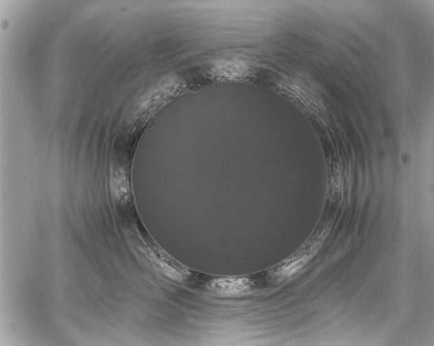 X0000059800526200510211055