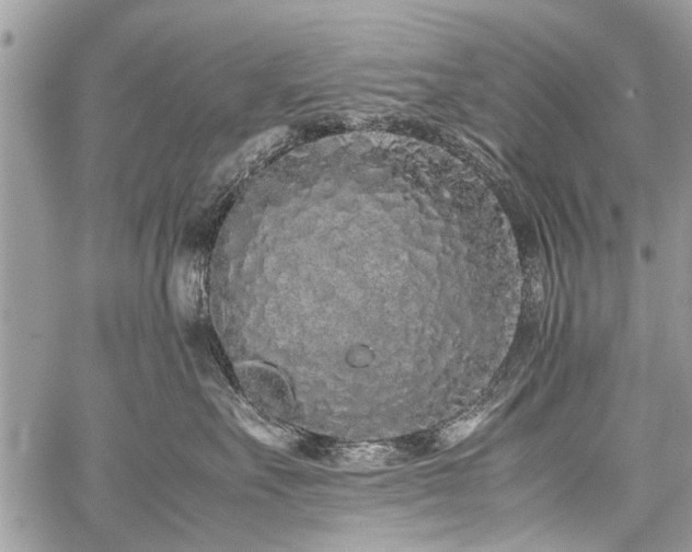 X0000059800527200510211055