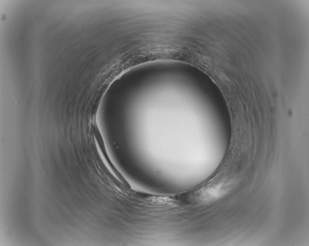 X0000059800528200510211055