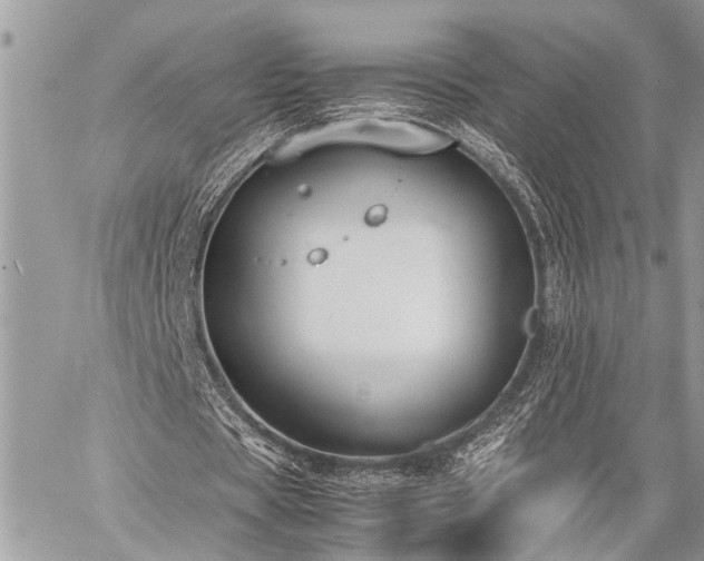 X0000059800529200510211054