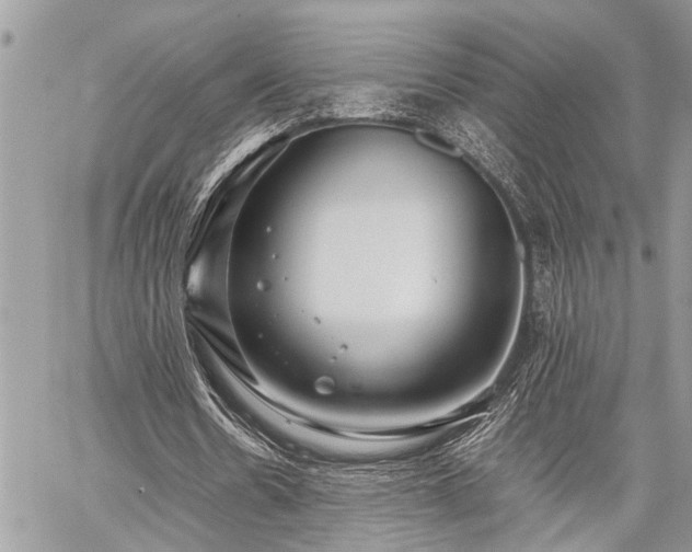 X0000059800530200510211054