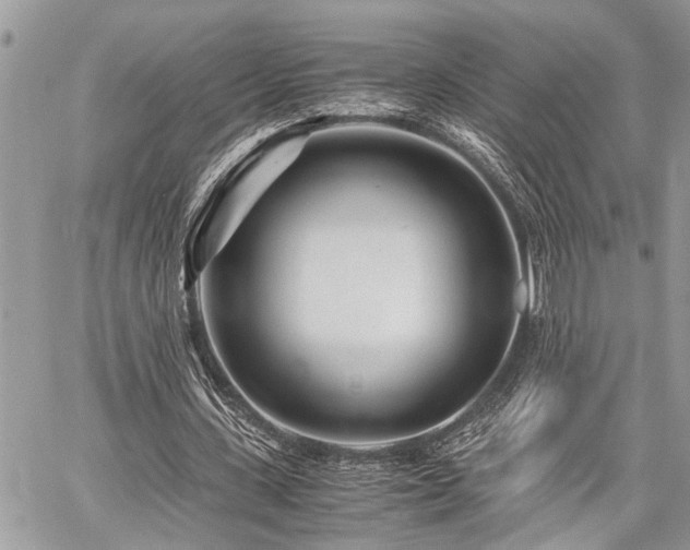 X0000059800531200510211054