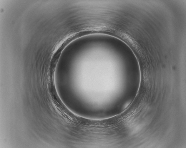 X0000059800532200510211054