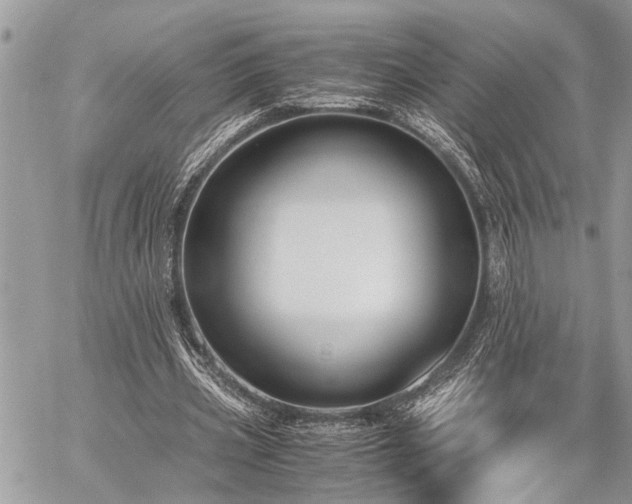 X0000059800533200510211054