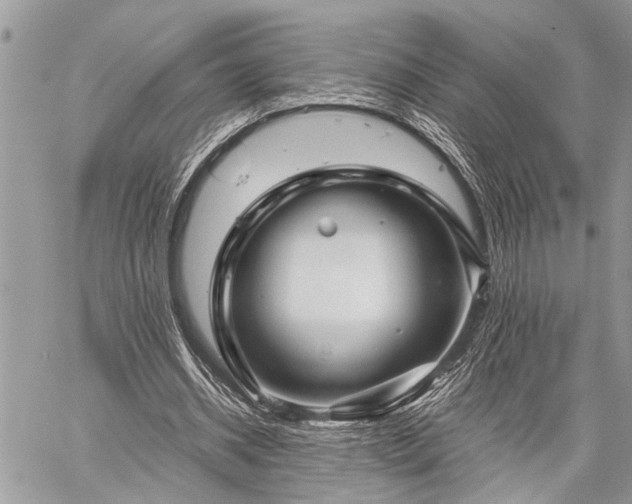 X0000059800534200510211054