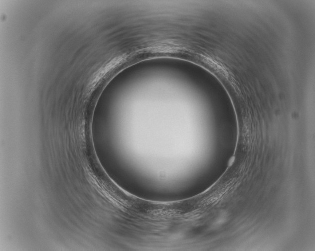 X0000059800535200510211054