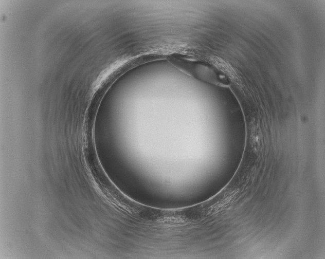 X0000059800536200510211054