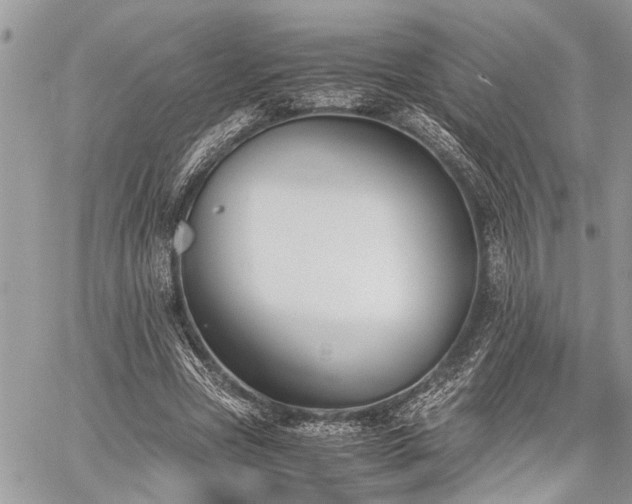 X0000059800537200510211054