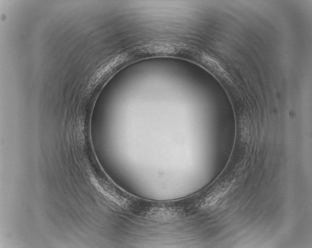 X0000059800538200510211054