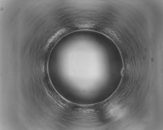 X0000059800539200510211054