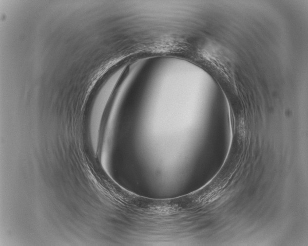 X0000059800540200510211054