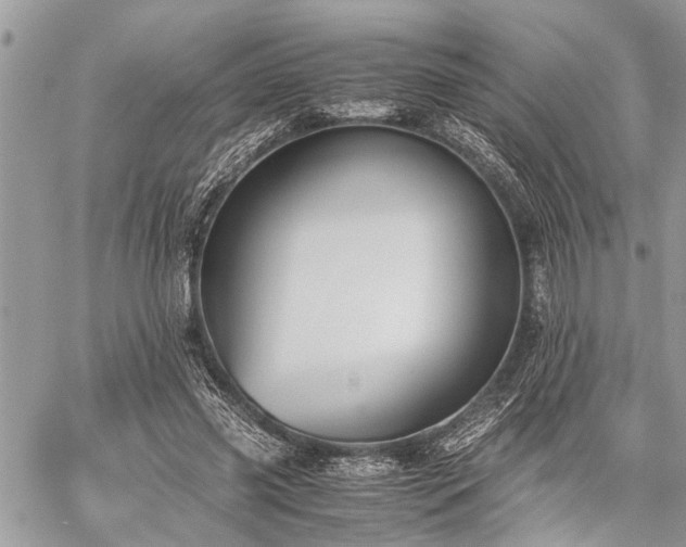 X0000059800541200510211054