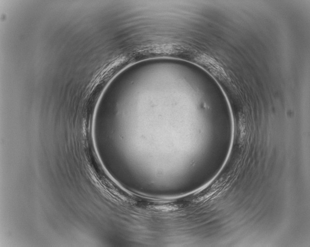 X0000059800542200510211054