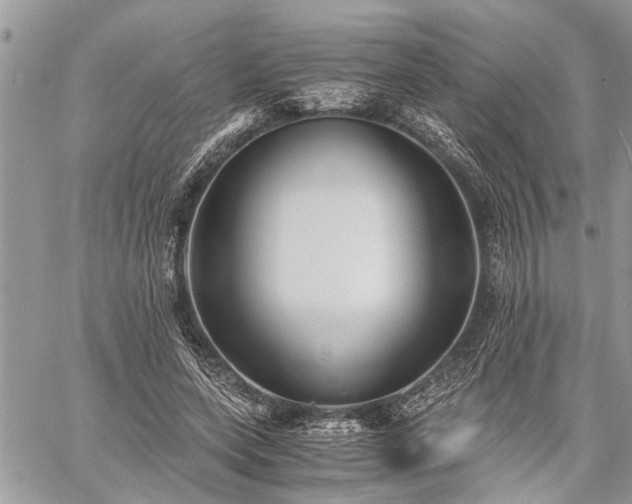 X0000059800543200510211054