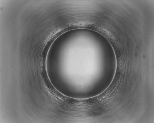 X0000059800544200510211054