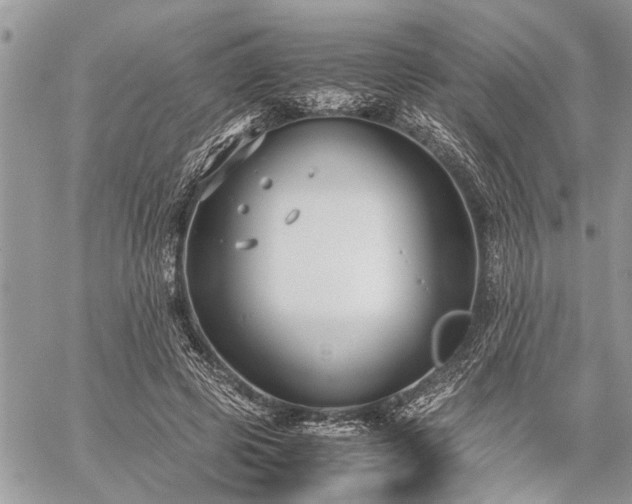 X0000059800545200510211054