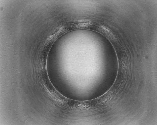 X0000059800546200510211054