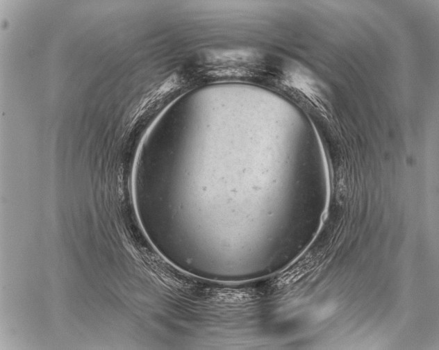 X0000059800547200510211054