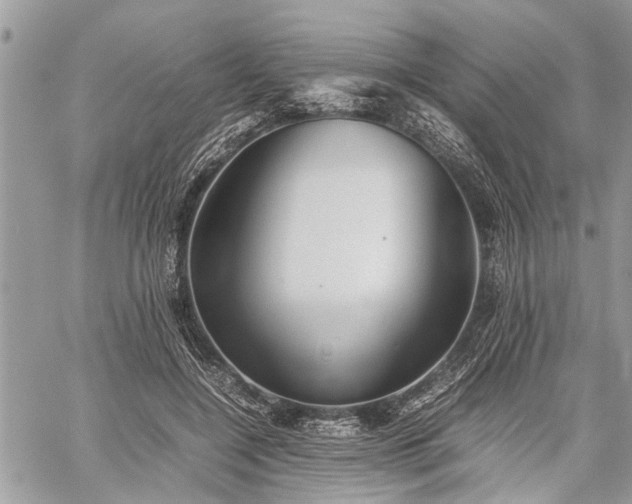 X0000059800548200510211054