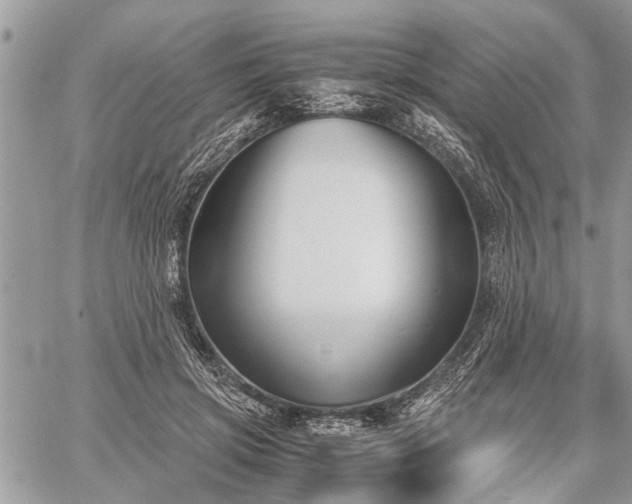 X0000059800549200510211054