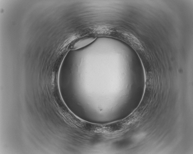 X0000059800550200510211054