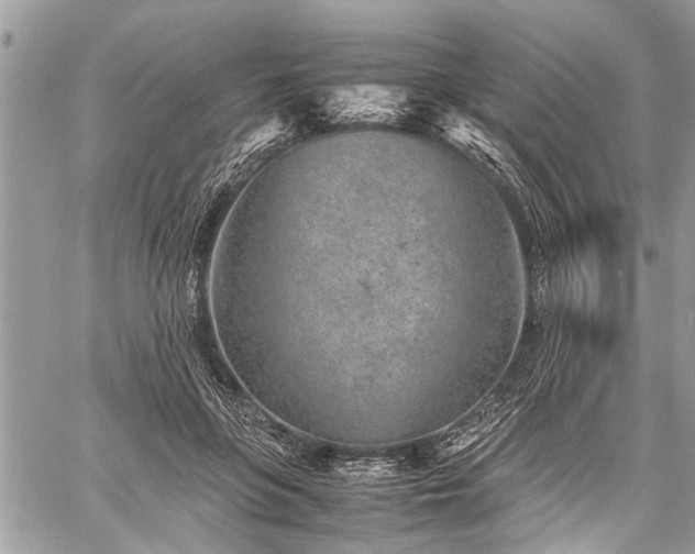 X0000059800551200510211054