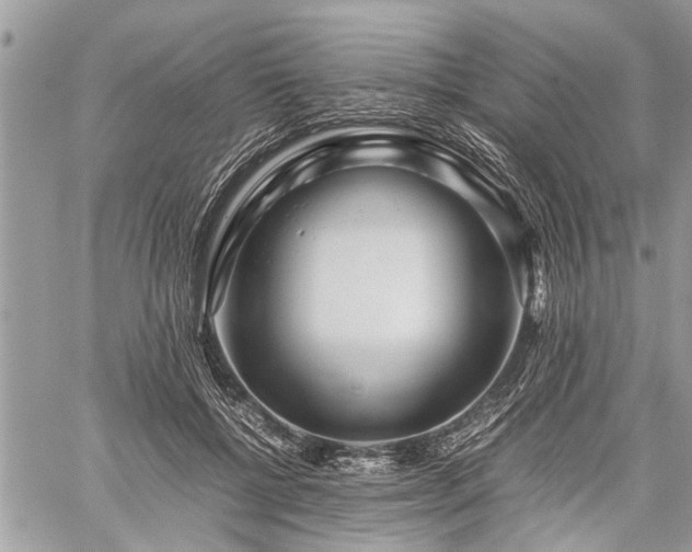 X0000059800552200510211054