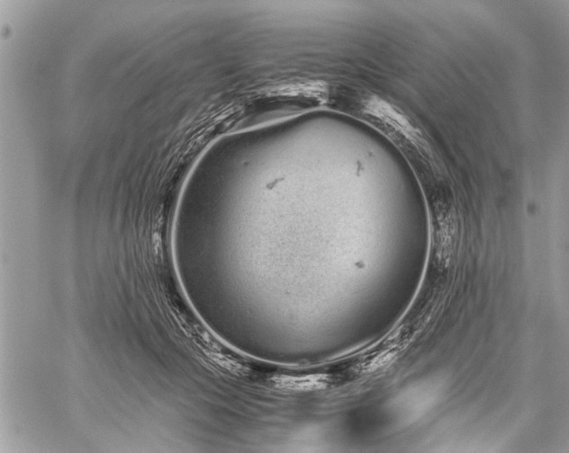 X0000059800553200510211054