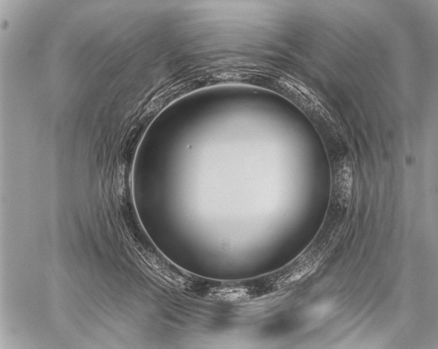 X0000059800554200510211054