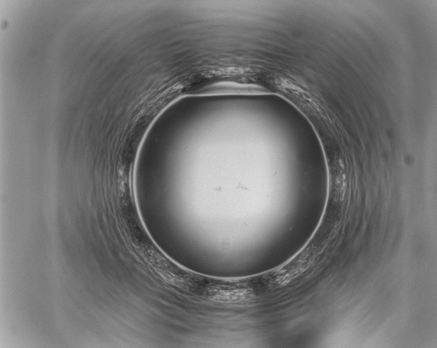 X0000059800555200510211054