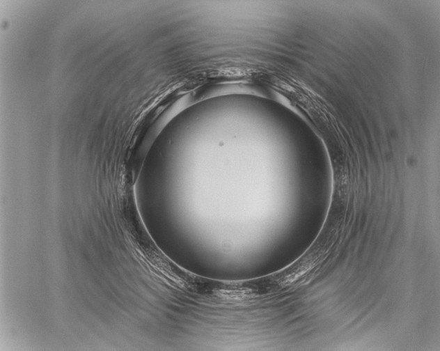 X0000059800556200510211054