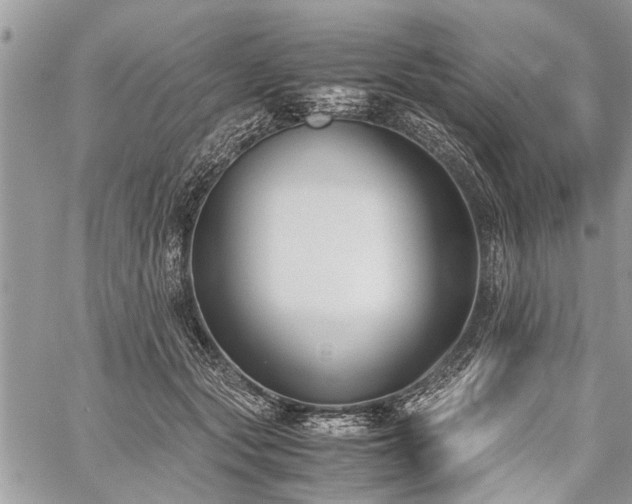 X0000059800557200510211054