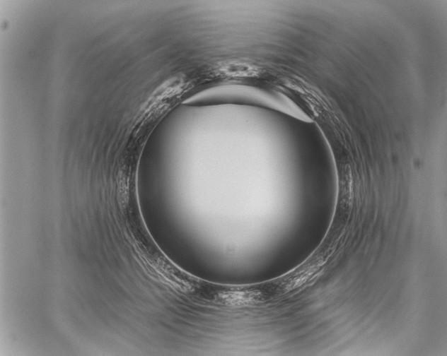 X0000059800558200510211054