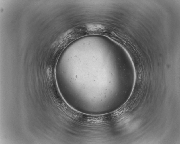 X0000059800559200510211054