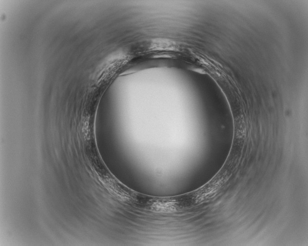 X0000059800560200510211054