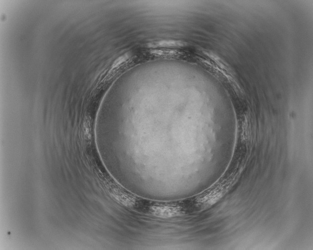 X0000059800561200510211054