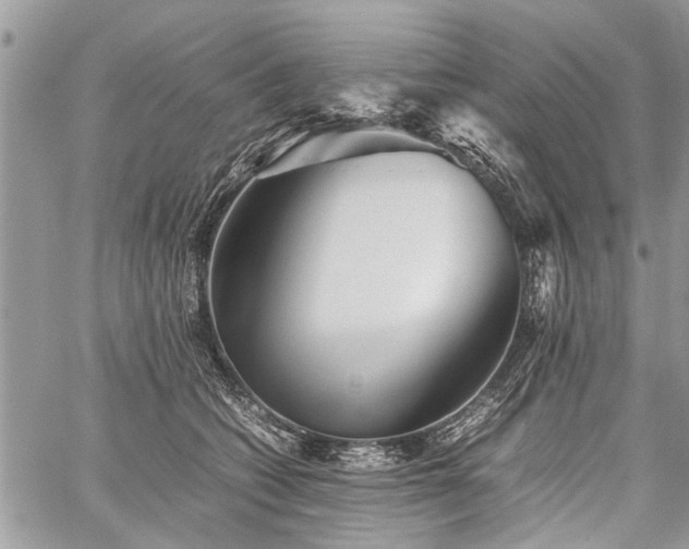 X0000059800562200510211054