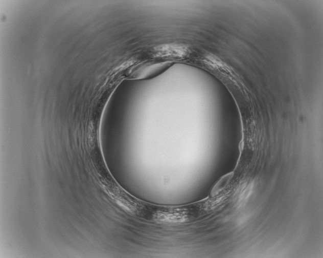 X0000059800563200510211054