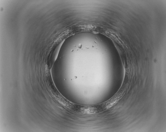 X0000059800564200510211054