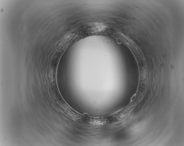 X0000059800565200510211054