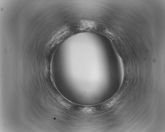 X0000059800566200510211054