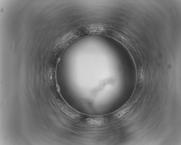 X0000059800567200510211054